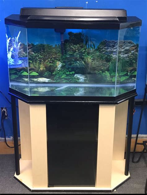 35 gallon fish tank|Harbour Bar Kitchen Restaurant .